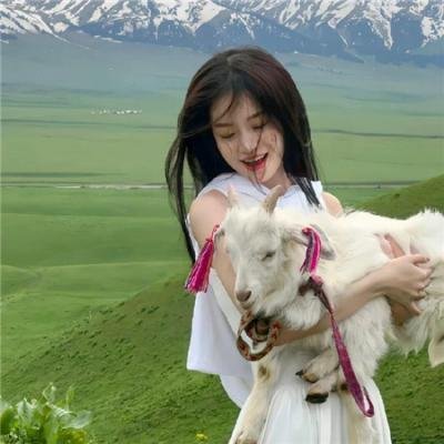 海上花1998